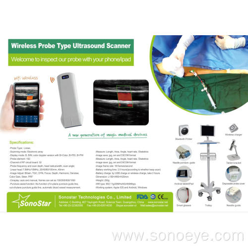 Emergence Using Portable Ultrasound